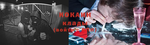 ПСИЛОЦИБИНОВЫЕ ГРИБЫ Волоколамск