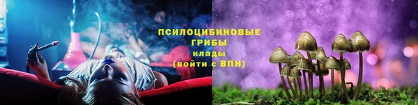 ПСИЛОЦИБИНОВЫЕ ГРИБЫ Волоколамск