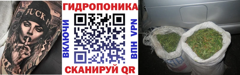 Купить где  Гдов  Шишки марихуана Amnesia 
